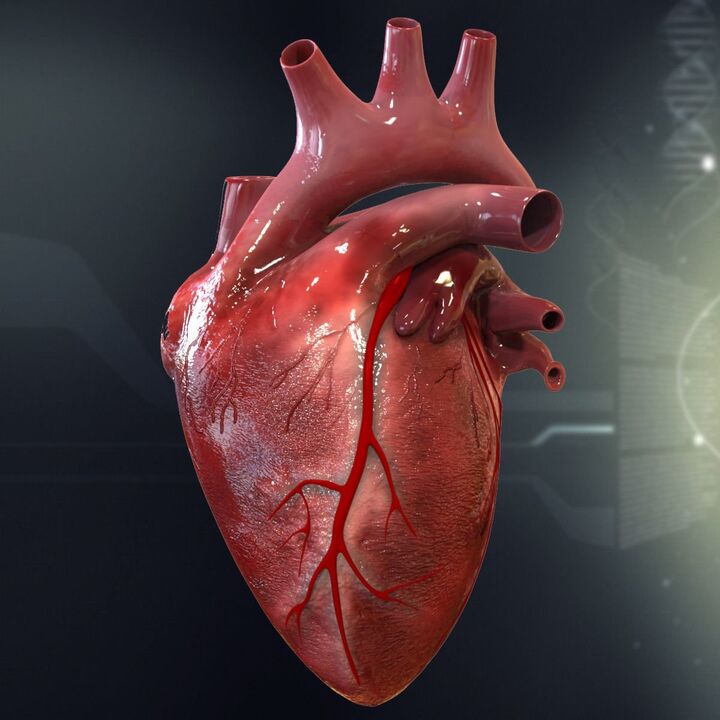 Inima umană și hipertensiune arterială